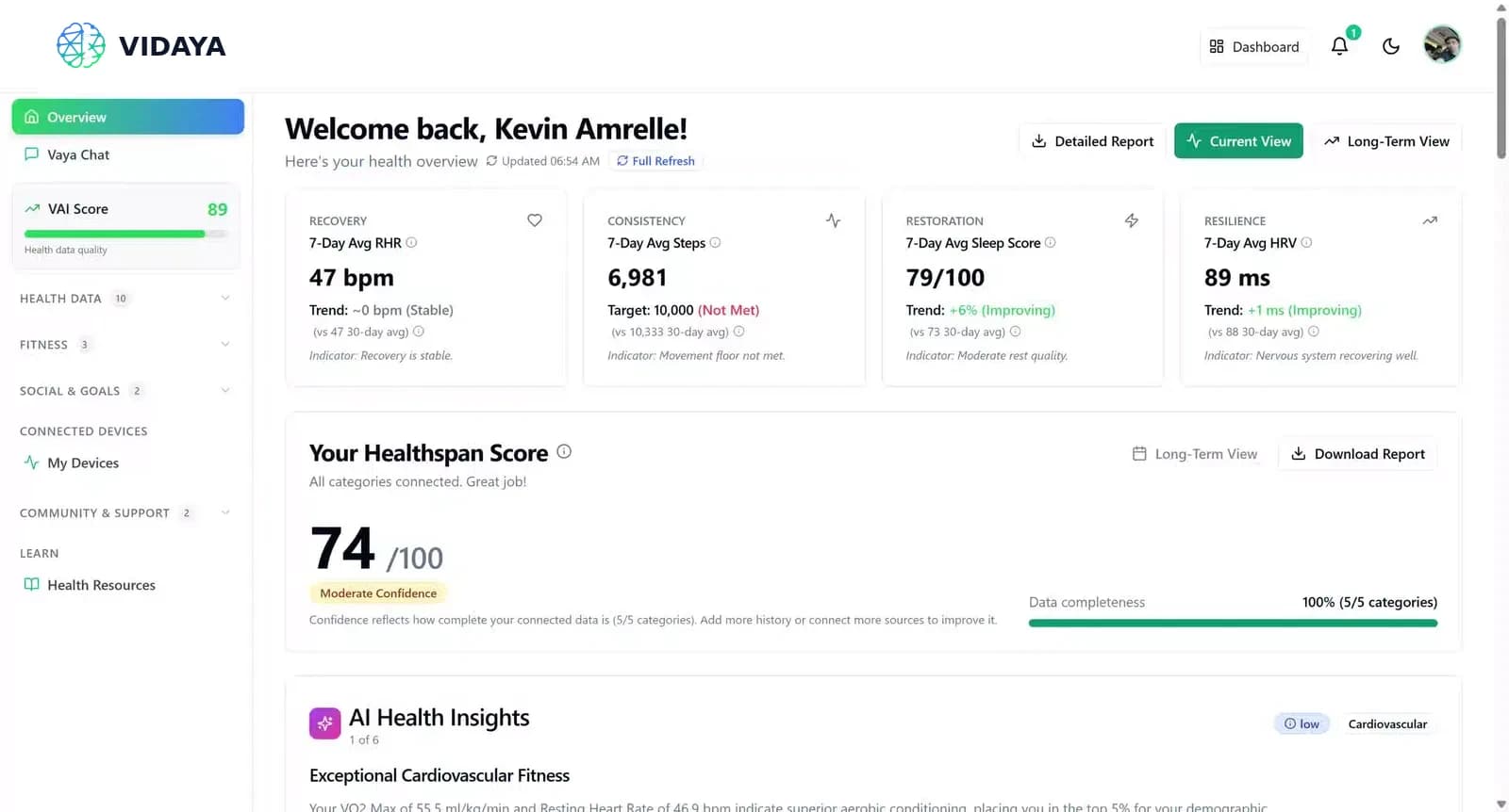 Preview of the Vidaya dashboard shown in the interactive demo