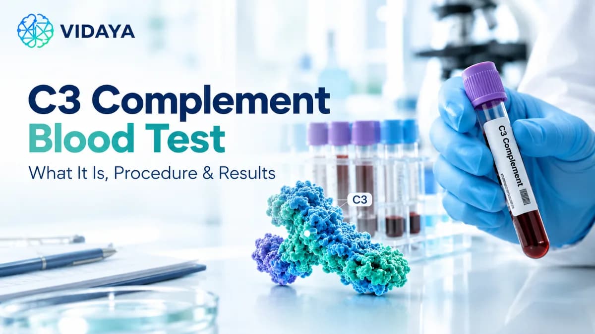 C3 Complement Blood Test